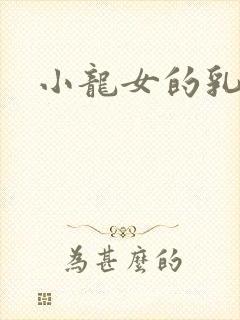 小龙女的乳头