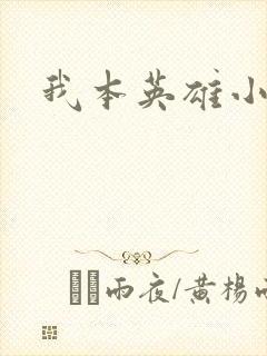 我本英雄小说