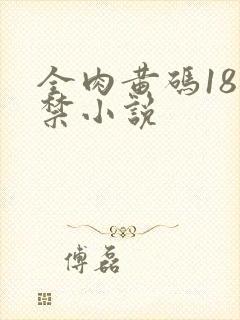 全肉黄码18无禁小说