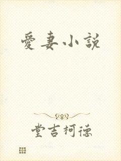 爱妻小说