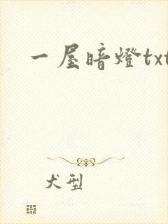 一屋暗灯txt