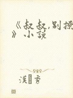 《叔叔,别撩我》小说