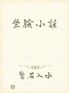 坐脸小说