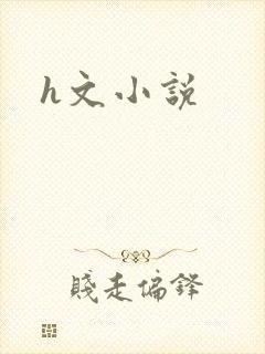 h文小说