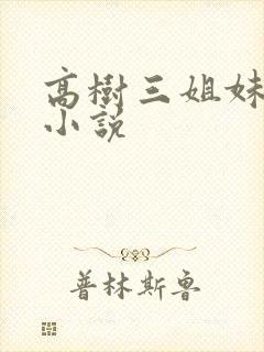 高树三姐妹有声小说
