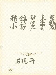 赵锦儿秦慕修的小说免费阅读全文