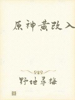原神黄改入口