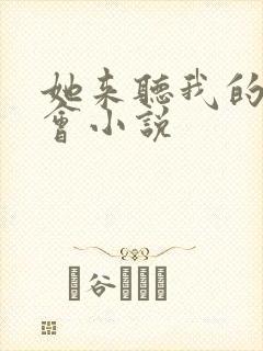 她来听我的演唱会小说