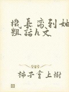 机长脔到她哭h粗话h文