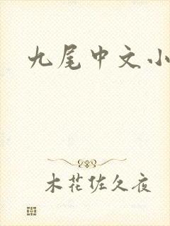 九尾中文小说网