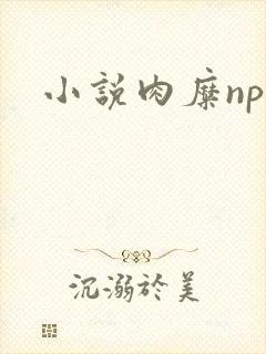 小说肉糜np