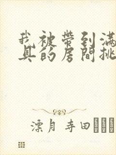 我被带到满是玩具的房间挑调游戏