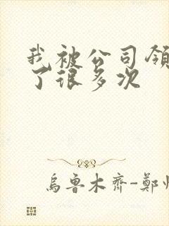 我被公司领导C了很多次