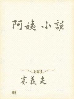 阿姨 小说