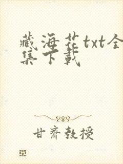 藏海花txt全集下载