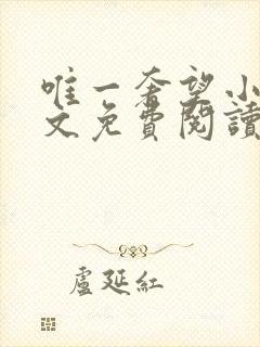 唯一奢望小说全文免费阅读