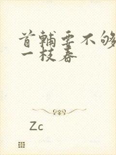 首辅要不够po一枝春