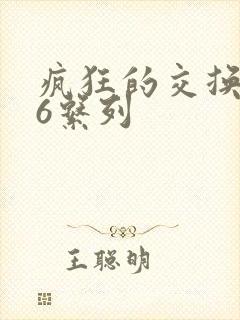 疯狂的交换1一6系列