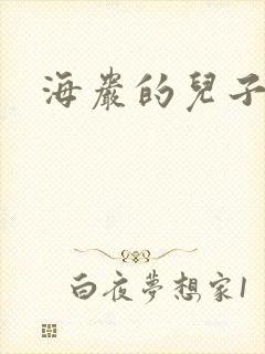 海岩的儿子