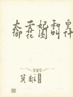 太子妃和皇帝在御花园叫什么小说