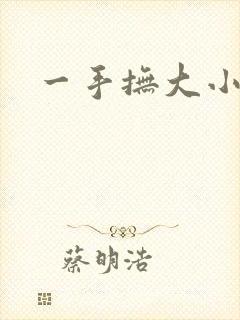 一手抚大小说