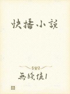 快播小说