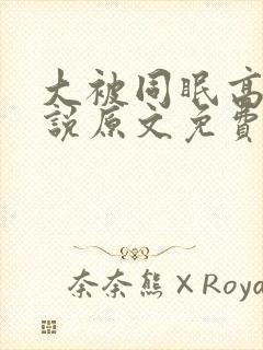 大被同眠高粱小说原文免费阅读