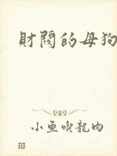 财阀的母狗们
