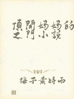 顶开妈妈的生命之门小说