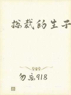 总裁的生子情人