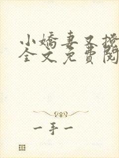 小娇妻又撩又甜全文免费阅读