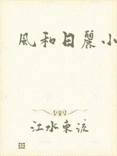 风和日丽小说