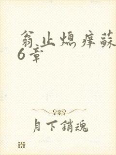 翁止熄痒苏玥第6章