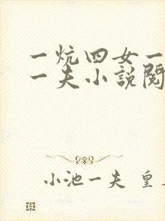 一炕四女一共侍一夫小说阅读