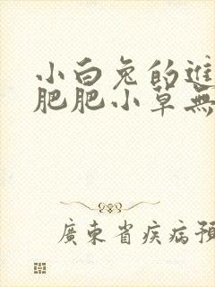 小白兔的进化史肥肥小草无防盗