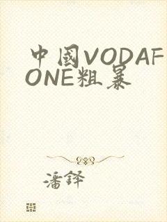 中国VODAFONE粗暴