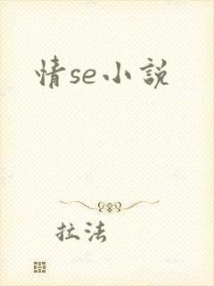 情se小说