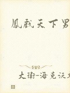 凤戏天下男
