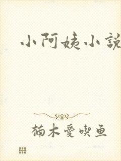 小阿姨小说