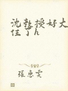 沈教授好大含不住了h