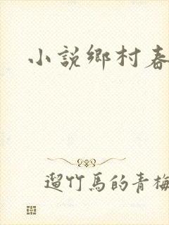 小说乡村春光
