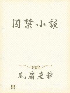 囚禁小说