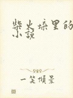 柴火垛里的疯狂小说