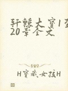 轩辕大宝1至720章全文