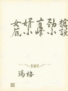 女婿有劲枪枪到底小峰小说