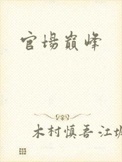 官场巅峰