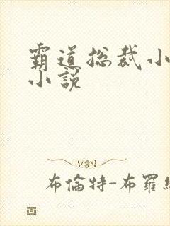 霸道总裁小娇妻小说