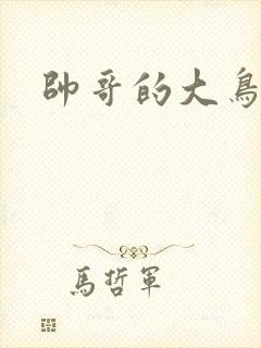 帅哥的大鸟