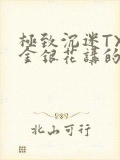 极致沉迷TXL金银花讲的什么