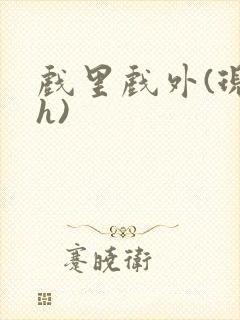 戏里戏外(现场h)